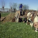 lavoro