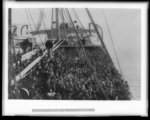 immigrazione
