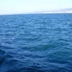 maremosso