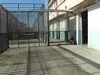 ciedibologna