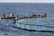 migranti77