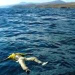 migranti