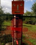 totem