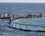 migranti77