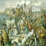 saccodiroma2